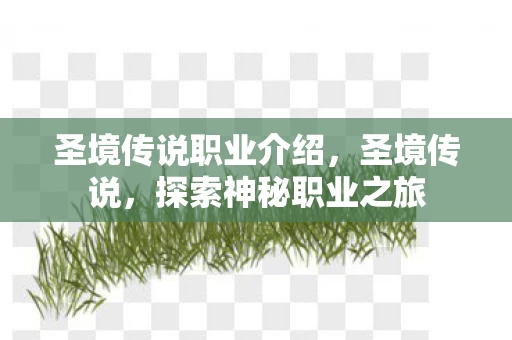 圣境传说职业介绍，圣境传说，探索神秘职业之旅