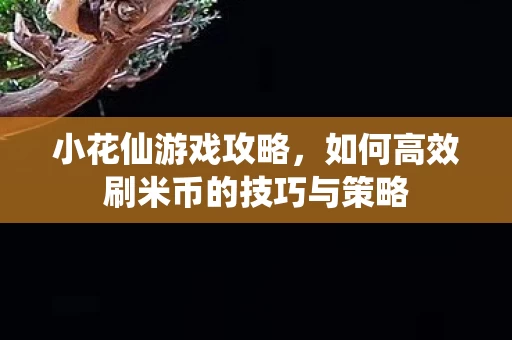 如何高效刷米币的技巧与策略图片