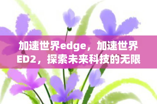 加速世界edge，加速世界ED2，探索未来科技的无限可能