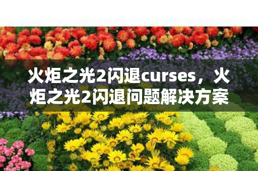 火炬之光2闪退curses，火炬之光2闪退问题解决方案