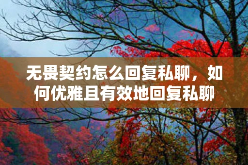 无畏契约怎么回复私聊，如何优雅且有效地回复私聊