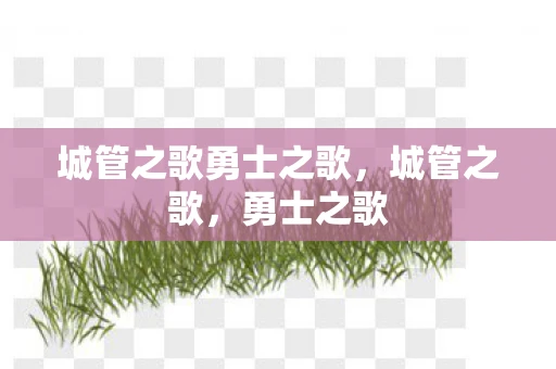 城管之歌勇士之歌，城管之歌，勇士之歌