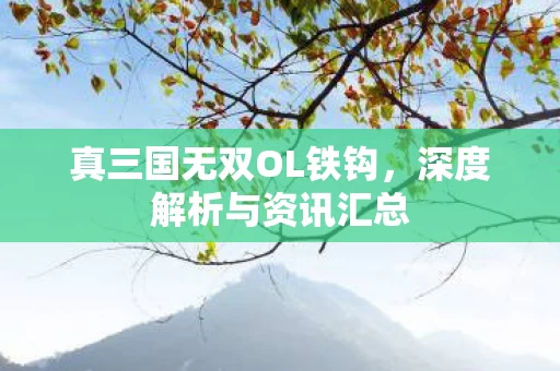真三国无双OL铁钩图片