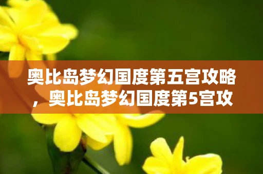 奥比岛梦幻国度第五宫攻略，奥比岛梦幻国度第5宫攻略，解锁神秘宝藏的终极指南