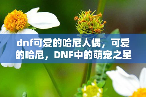 dnf可爱的哈尼人偶，可爱的哈尼，DNF中的萌宠之星