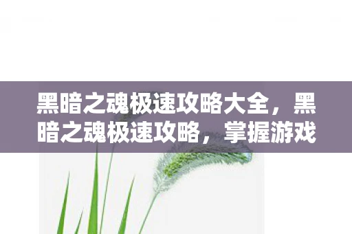 黑暗之魂极速攻略大全，黑暗之魂极速攻略，掌握游戏精髓，轻松通关