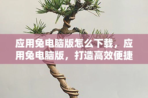 应用兔电脑版怎么下载，应用兔电脑版，打造高效便捷的移动办公新体验