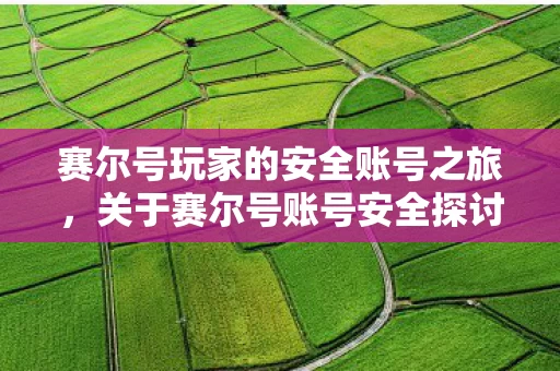 关于赛尔号账号安全探讨与游戏攻略图片