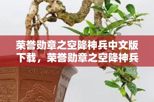 荣誉勋章之空降神兵中文版下载，荣誉勋章之空降神兵中文版，二战传奇的再现