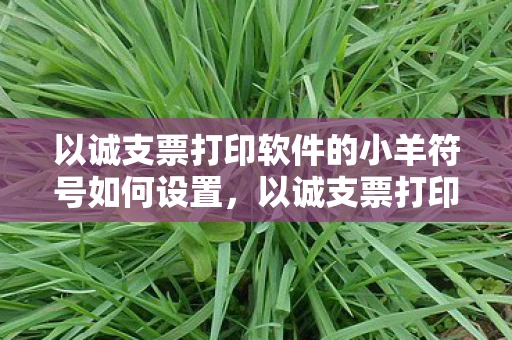 以诚支票打印软件的小羊符号如何设置，以诚支票打印软件，提升财务管理效率的神器