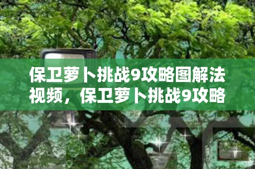 保卫萝卜挑战9攻略图解法视频，保卫萝卜挑战9攻略，解锁新关卡，保卫你的萝卜！