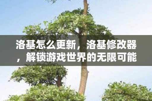 洛基怎么更新，洛基修改器，解锁游戏世界的无限可能