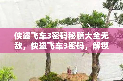 侠盗飞车3密码秘籍大全无敌，侠盗飞车3密码，解锁隐藏内容，重温经典游戏
