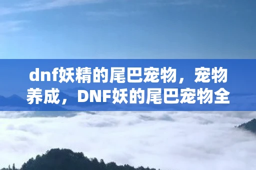 dnf妖精的尾巴宠物，宠物养成，DNF妖的尾巴宠物全解析