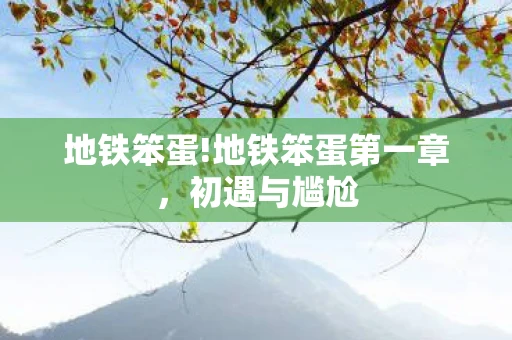 地铁笨蛋!地铁笨蛋第一章，初遇与尴尬