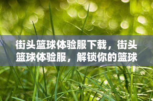 街头篮球体验服下载，街头篮球体验服，解锁你的篮球梦想