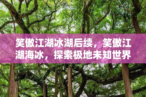 笑傲江湖冰湖后续，笑傲江湖海冰，探索极地未知世界的勇者之旅