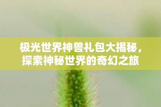 极光世界神兽礼包大揭秘图片