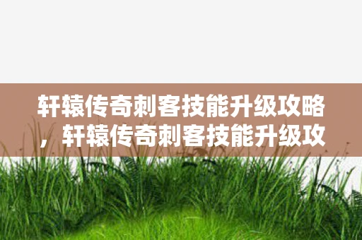 轩辕传奇刺客技能升级攻略，轩辕传奇刺客技能升级攻略，打造无敌刺客的秘诀