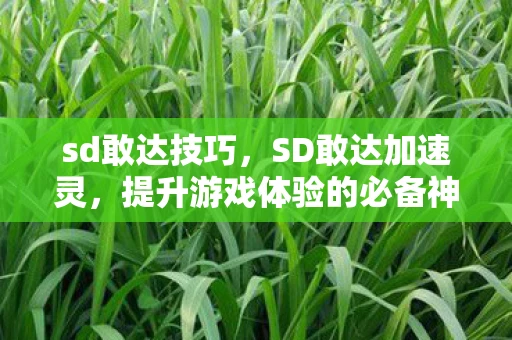 sd敢达技巧，SD敢达加速灵，提升游戏体验的必备神器