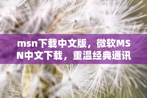 msn下载中文版，微软MSN中文下载，重温经典通讯工具