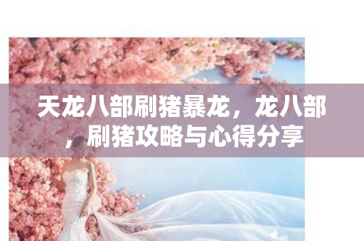 天龙八部刷猪暴龙，龙八部，刷猪攻略与心得分享