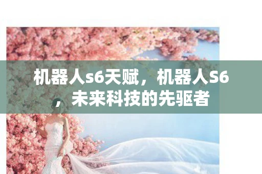 机器人s6天赋，机器人S6，未来科技的先驱者