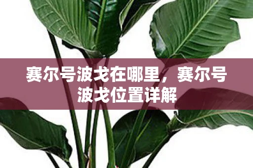 赛尔号波戈在哪里，赛尔号波戈位置详解