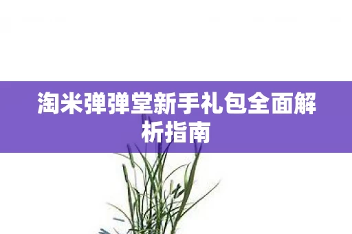 淘米弹弹堂新手礼包全面解析指南图片