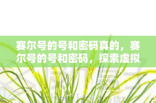 赛尔号的号和密码真的，赛尔号的号和密码，探索虚拟世界的神秘之旅
