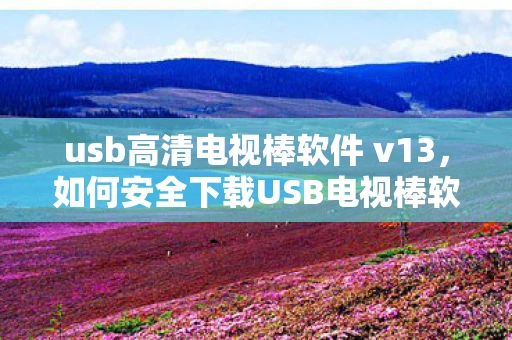 usb高清电视棒软件 v13，如何安全下载USB电视棒软件