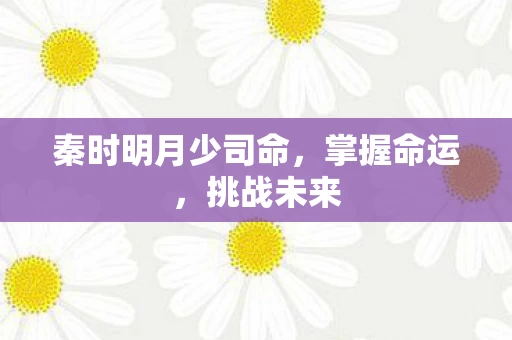 秦时明月少司命图片