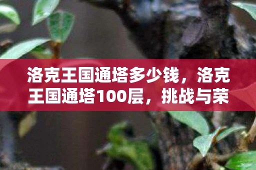 洛克王国通塔多少钱，洛克王国通塔100层，挑战与荣耀的征程
