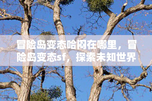 冒险岛变态哈闷在哪里，冒险岛变态sf，探索未知世界的奇妙之旅