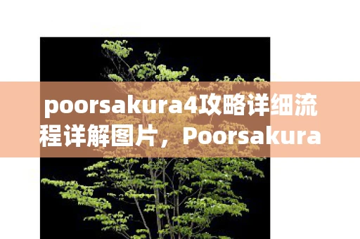 poorsakura4攻略详细流程详解图片，Poorsakura4全面攻略，解锁游戏新境界