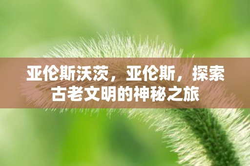 亚伦斯沃茨，亚伦斯，探索古老文明的神秘之旅