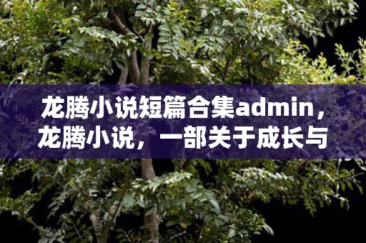 龙腾小说短篇合集admin，龙腾小说，一部关于成长与冒险的奇幻之旅