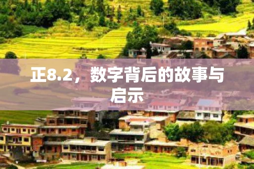 正8.2，数字背后的故事与启示
