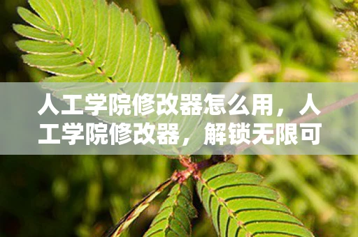 人工学院修改器怎么用，人工学院修改器，解锁无限可能的创意工具