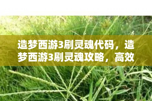 造梦西游3刷灵魂代码，造梦西游3刷灵魂攻略，高效获取灵魂的几种方法