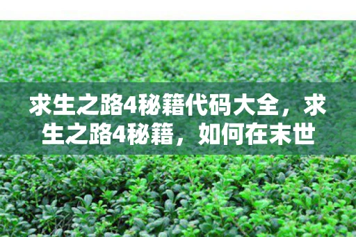 求生之路4秘籍代码大全，求生之路4秘籍，如何在末世中生存