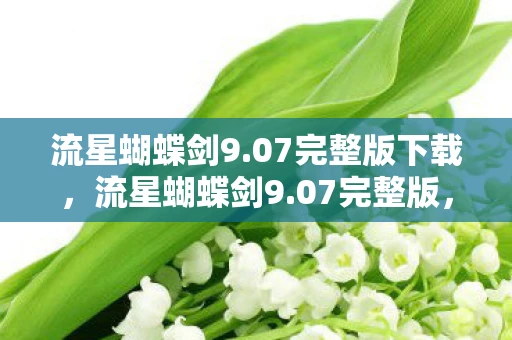 流星蝴蝶剑9.07完整版下载，流星蝴蝶剑9.07完整版，经典武侠的再现与传承