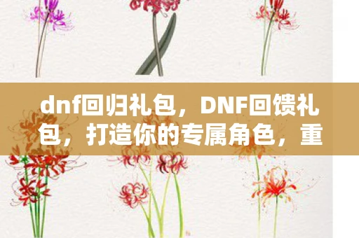 dnf回归礼包，DNF回馈礼包，打造你的专属角色，重温经典回忆