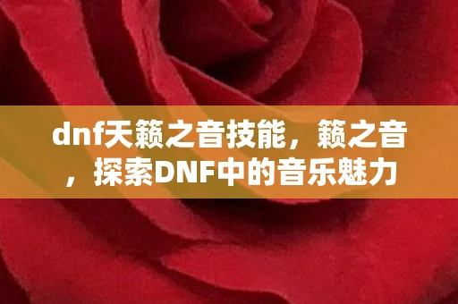 dnf天籁之音技能，籁之音，探索DNF中的音乐魅力