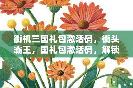 街机三国礼包激活码，街头霸王，国礼包激活码，解锁你的游戏世界