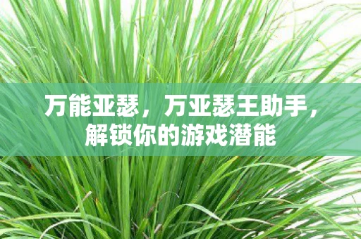 万能亚瑟，万亚瑟王助手，解锁你的游戏潜能