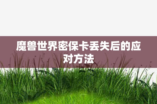 魔兽世界密保卡丢失后的应对方法图片