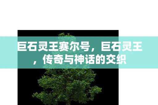 巨石灵王赛尔号，巨石灵王，传奇与神话的交织