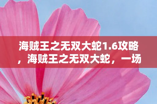 海贼王之无双大蛇1.6攻略，海贼王之无双大蛇，一场跨越时空的冒险