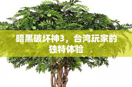 暗黑破坏神3，台湾玩家的独特体验